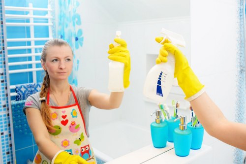 Professional window cleaning for homes in Cheapendof