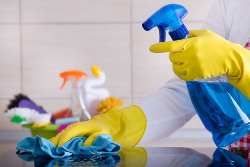 Local cleaners providing domestic cleaning services in Cheapendof homes