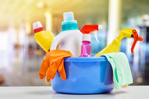 Deep cleaning carpets in a rental home in Cheapendof