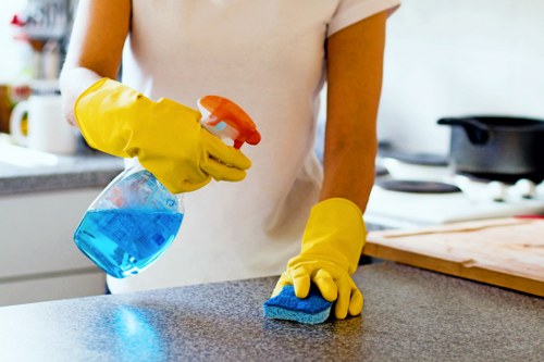 Screen-reader support and accessible cleaning service content