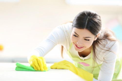 Professional cleaner maintaining reception and office areas in Cheapendof