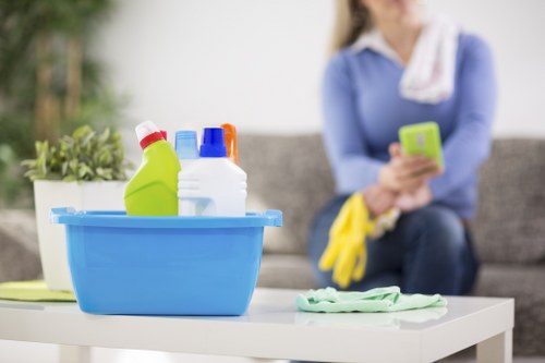 Final review of a cleaned rental property before handover