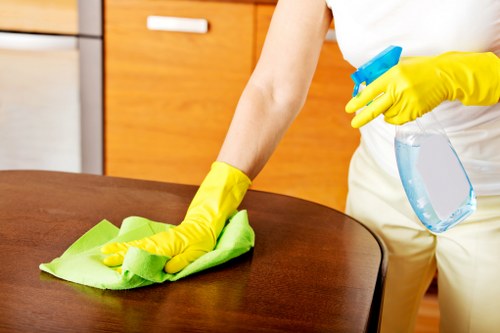 Professional cleaner completing a detailed end of tenancy clean