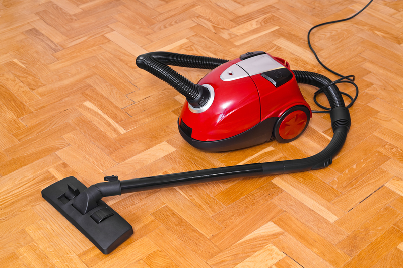 Enjoy fluff-free floors: 10 secrets to eliminate dog hair