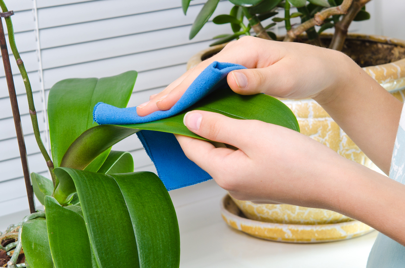 Renew Your Home's Essence with Our Ultimate Spring Clean Checklist